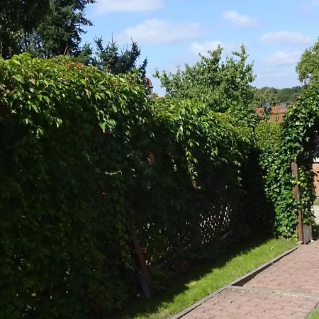 Ferienhaus Sylvia In Basedow